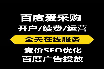 推广竞价策略优化：借鉴经典案例提升效果